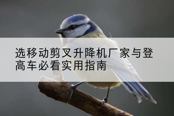 个旧电动升降机厂家-选移动剪叉升降机厂家与登高车必看实用指南