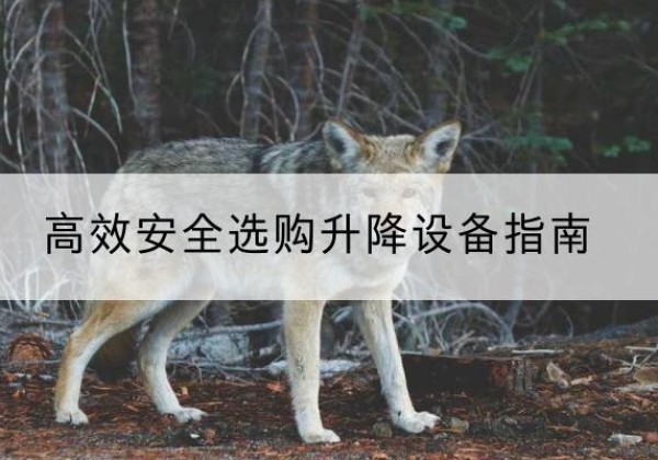 个旧升降货梯厂家推荐-*安全选购升降设备指南